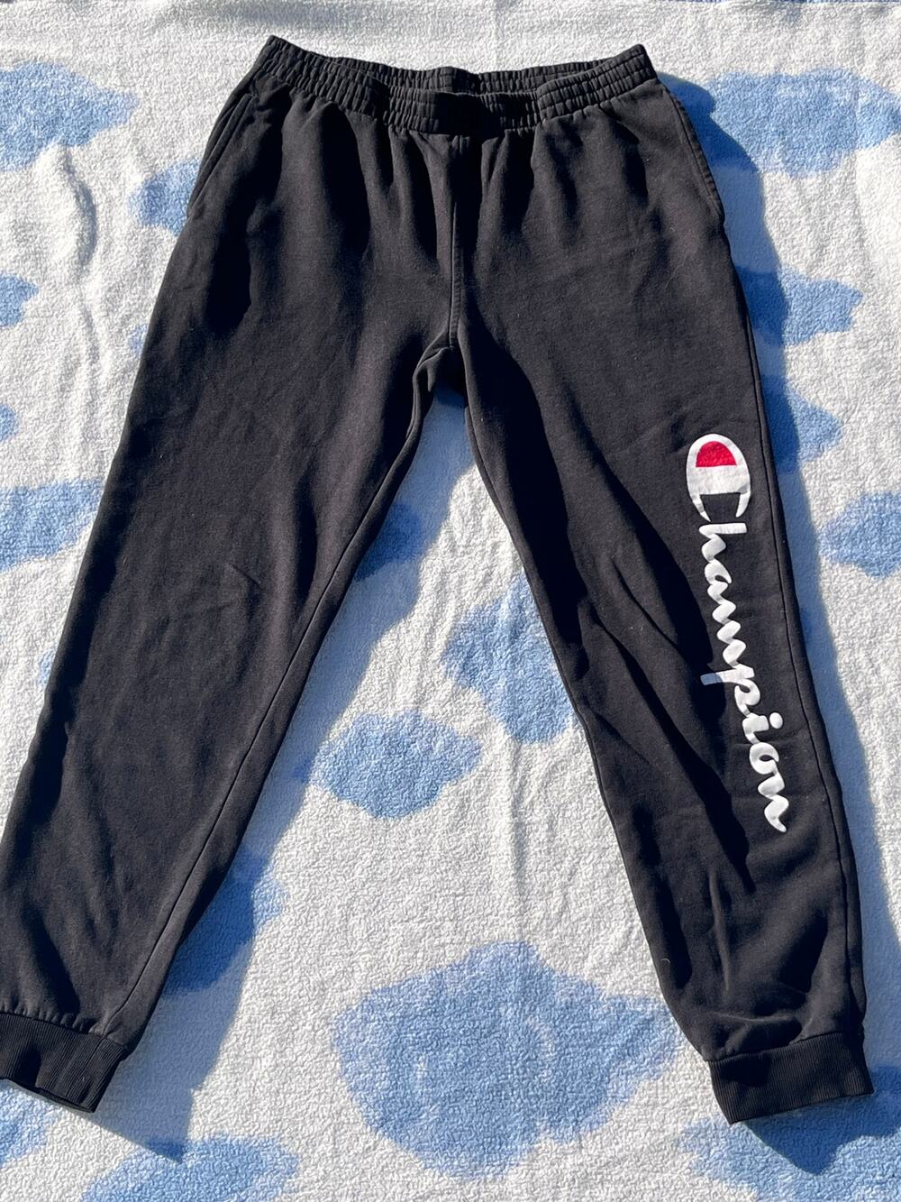 Champion sweatpants